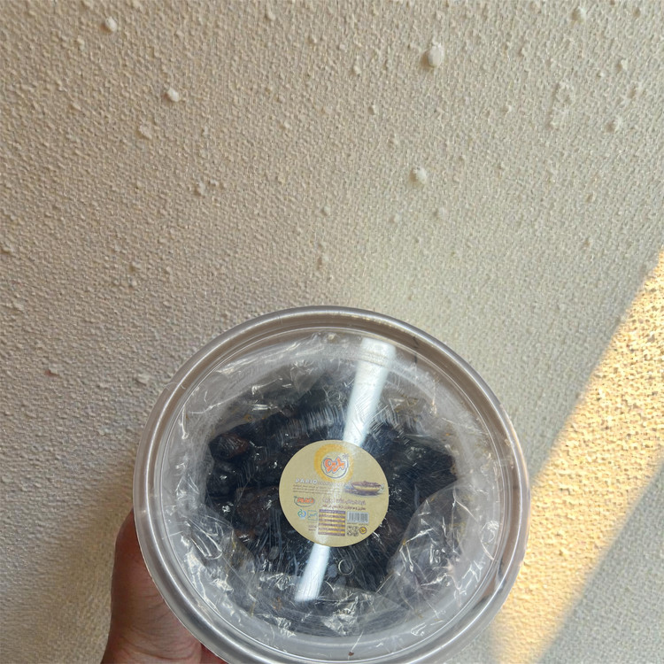 خرمای کبکاب pario صادراتی